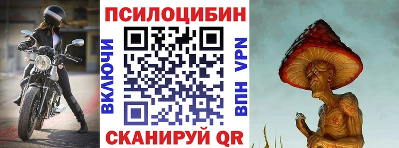 МЕГА ТОР  Агрыз  Псилоцибиновые грибы Magic Shrooms 